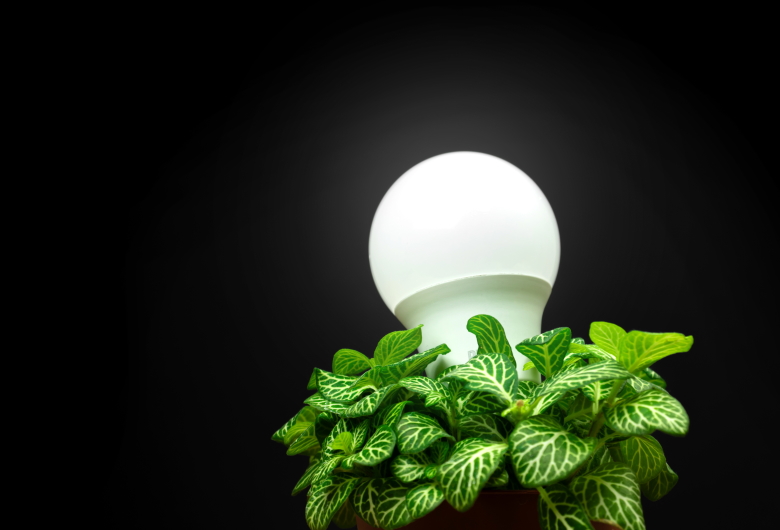 Lampu-LED-Zero-Carbon-dan-Perannya-dalam-Pengurangan-Emisi-Karbon-Spectrue